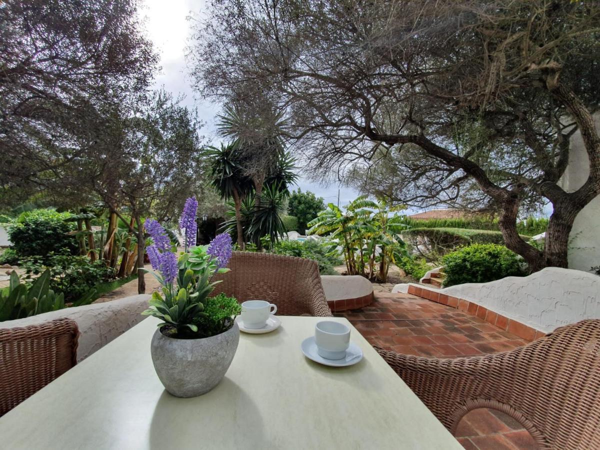 Hibiscus Apartment